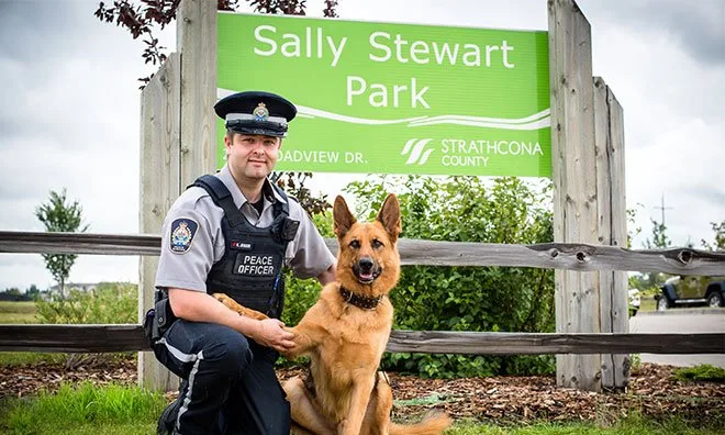 A peace officer and dog at the Sally Stewart Park sign, pictured in Strathcona County’s dog-bylaw information.